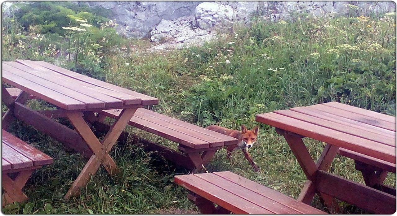 Apartman Štimac Crni Lug Bagian luar foto
